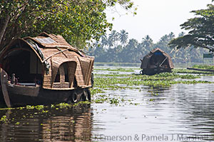 Houseboats in Kerala