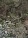 2004_10Hd-167